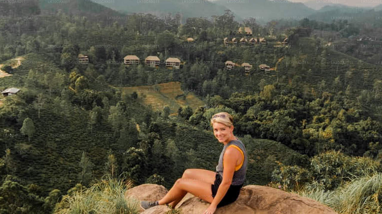 Przygoda z niespodzianką (12 dni)