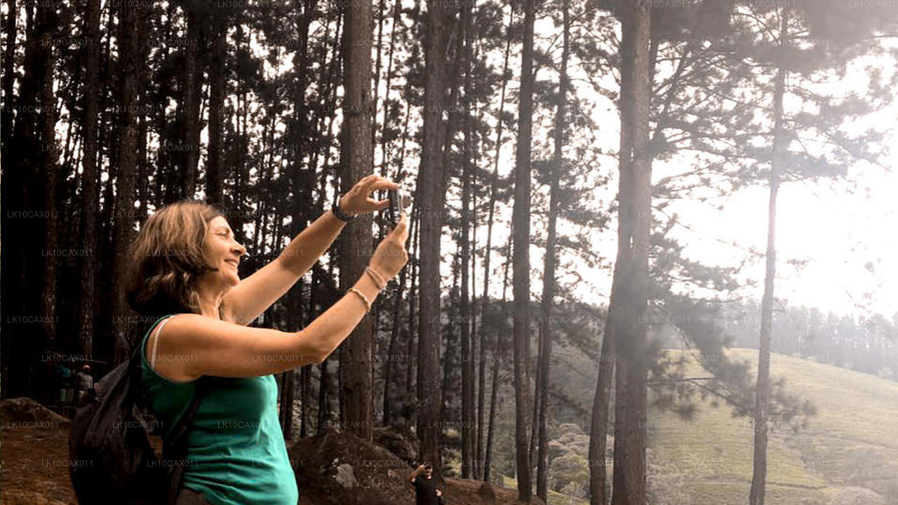 Przygoda z niespodzianką (12 dni)