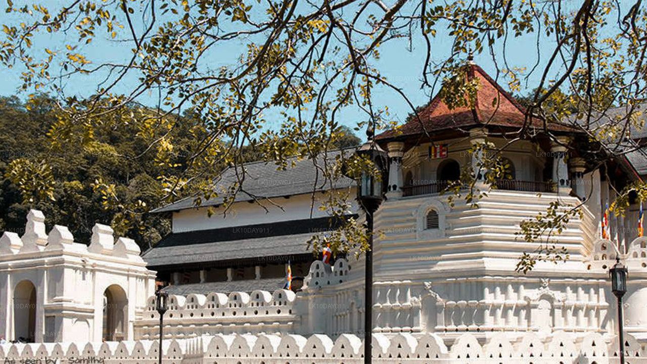 Buddyjska pielgrzymka (13 dni)