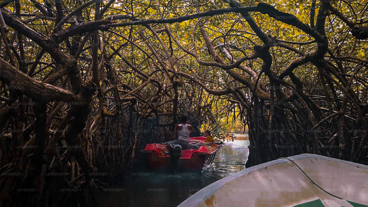 Wybrzeże i kultura (13 dni)