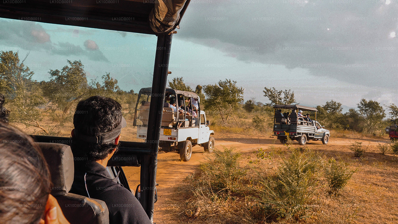 Adwent Cejlon (13 dni)