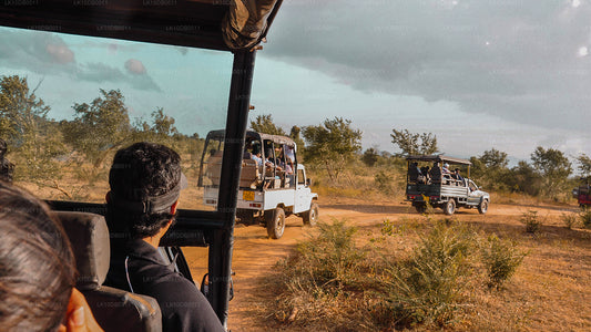 Adwent Cejlon (13 dni)