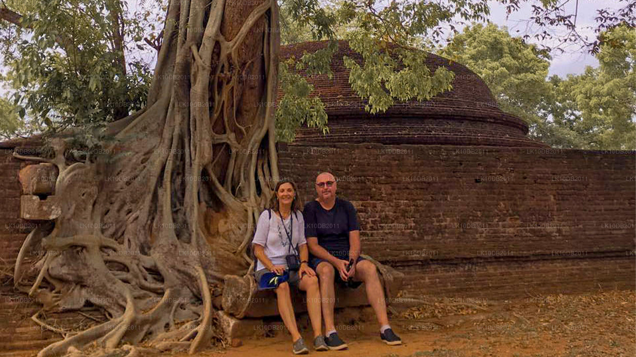 Opowieści o Taprobane (13 dni)