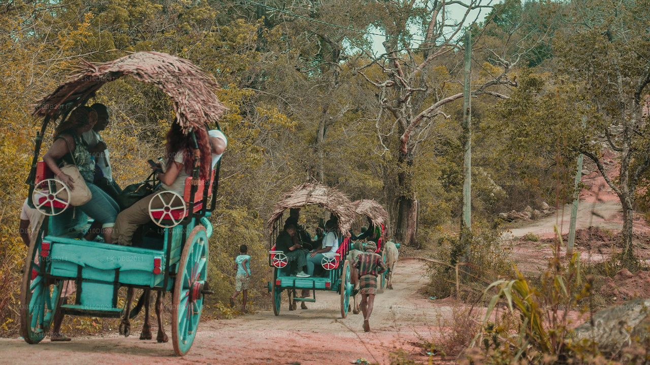 Opowieści o Taprobane (13 dni)