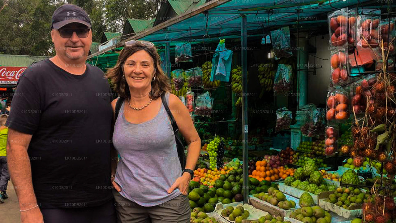 Opowieści o Taprobane (13 dni)