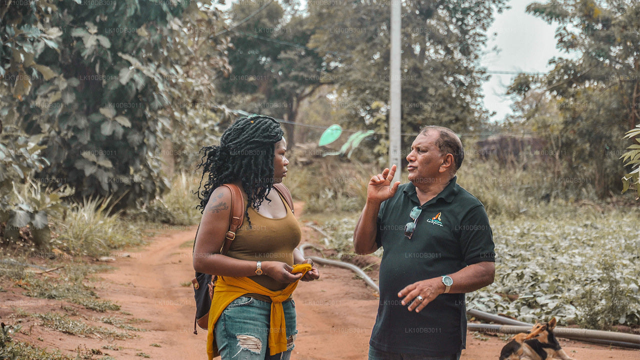 Szlak dookoła Cejlonu (13 dni)