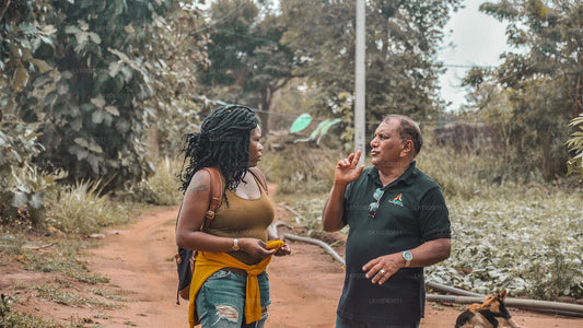 Szlak dookoła Cejlonu (13 dni)