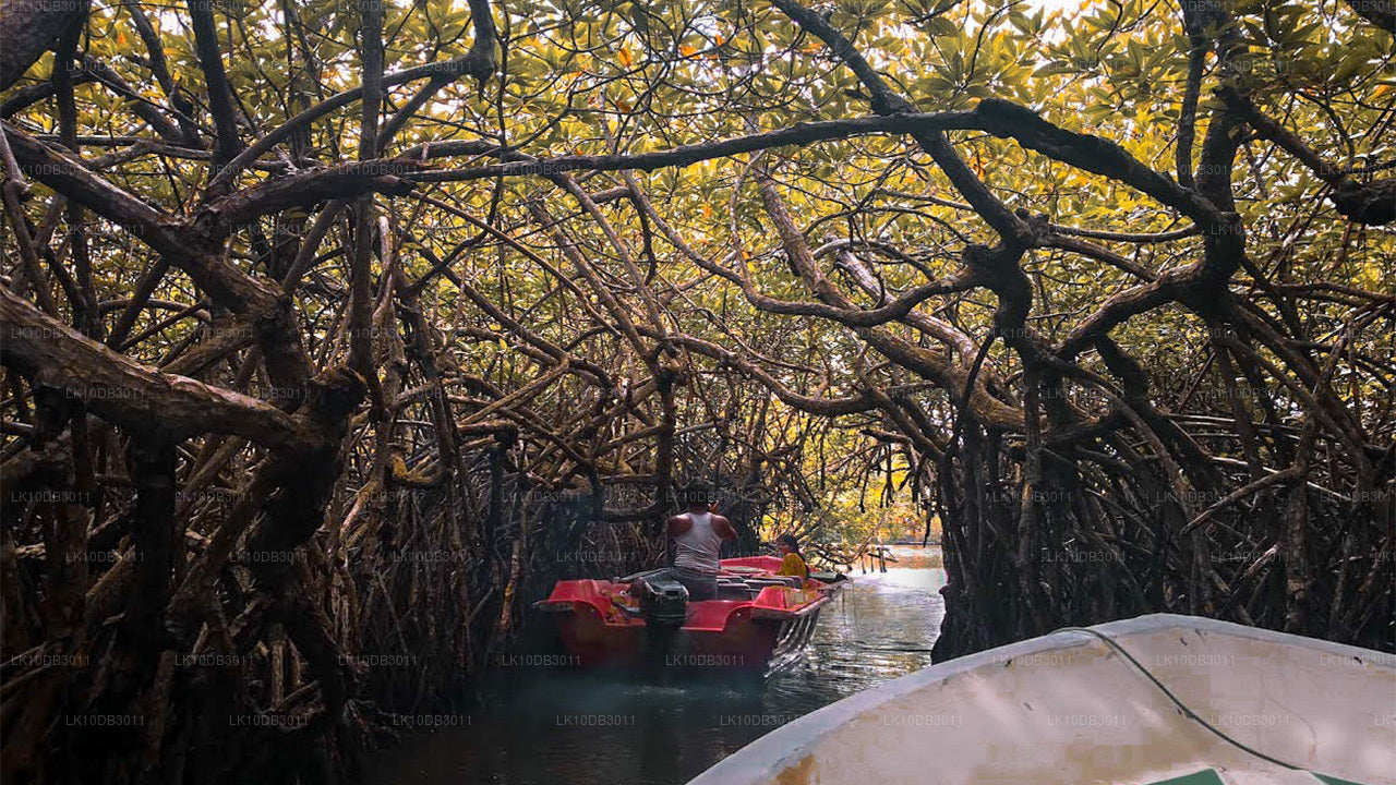 Szlak dookoła Cejlonu (13 dni)