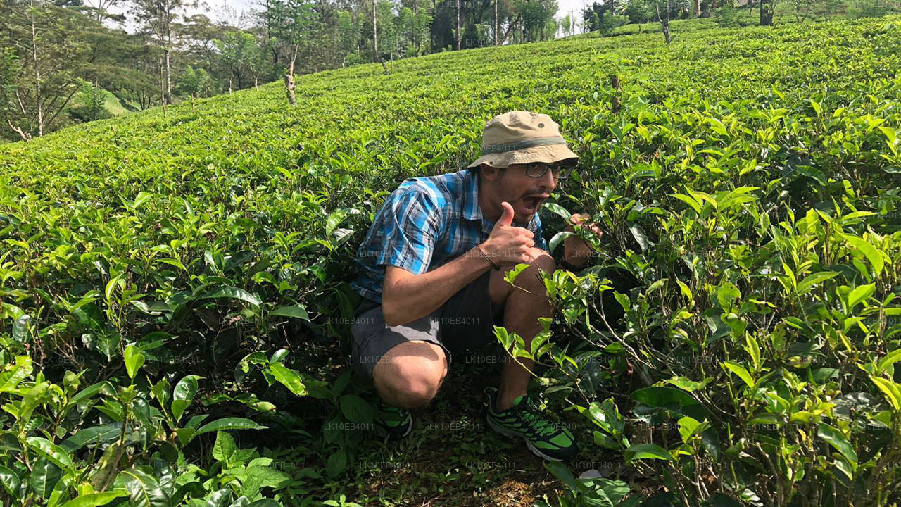 Dziedzictwo i plaża (14 dni)