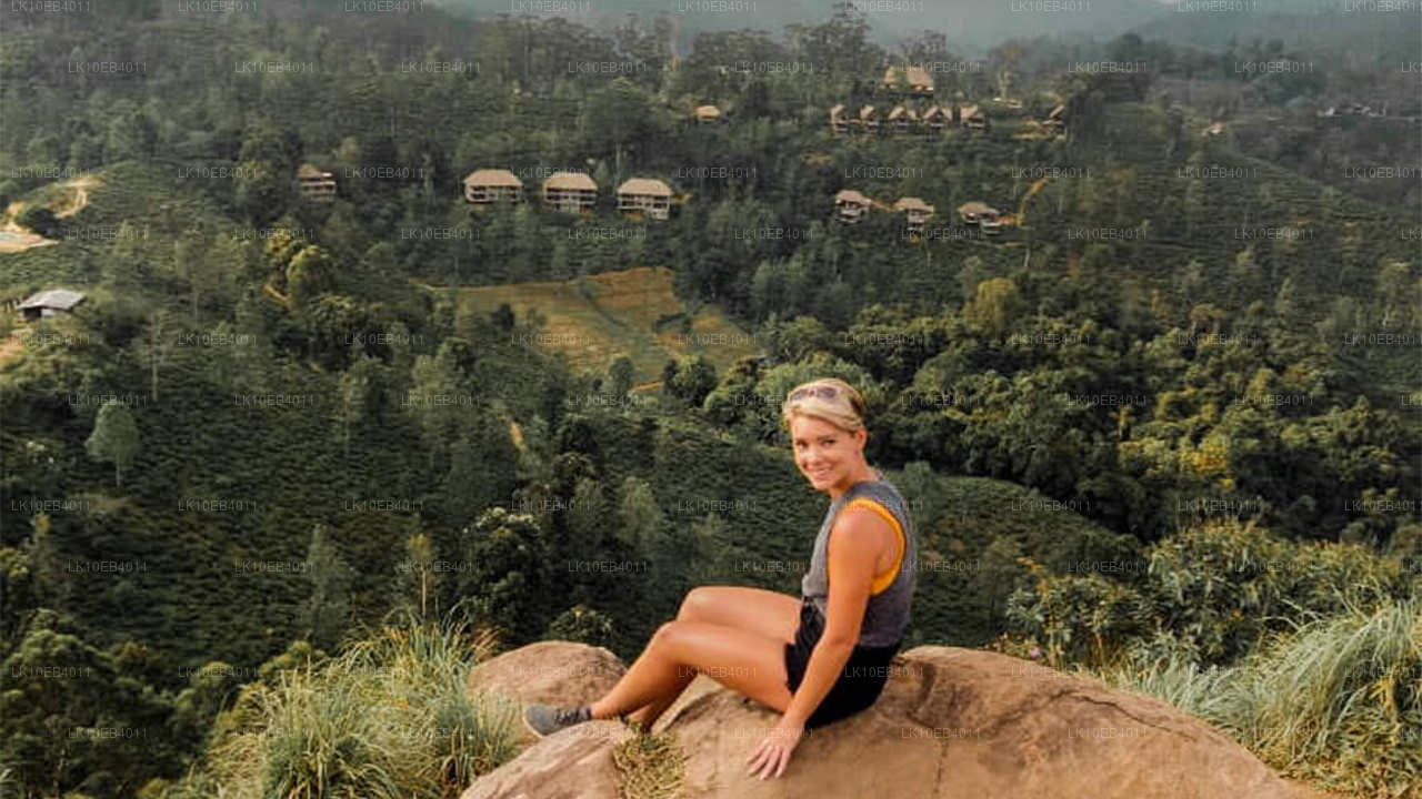 Dziedzictwo i plaża (14 dni)