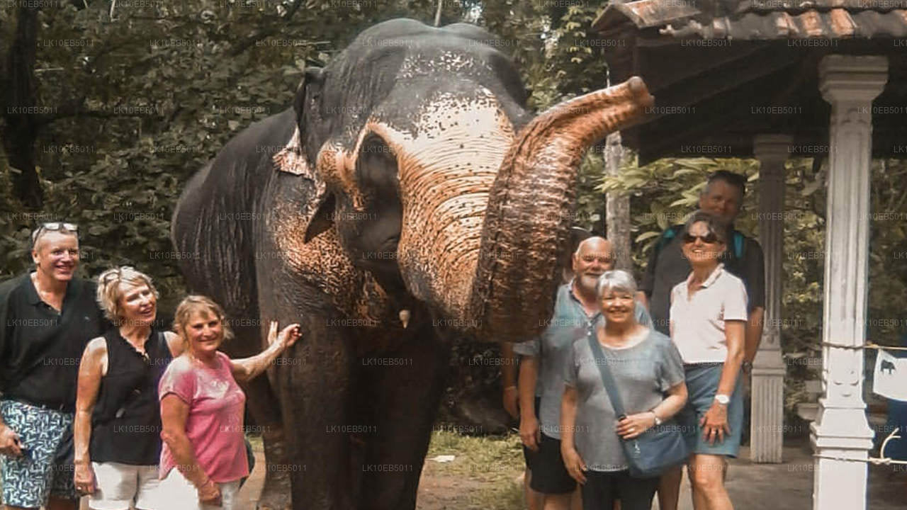 Sensacja świata (14 dni)