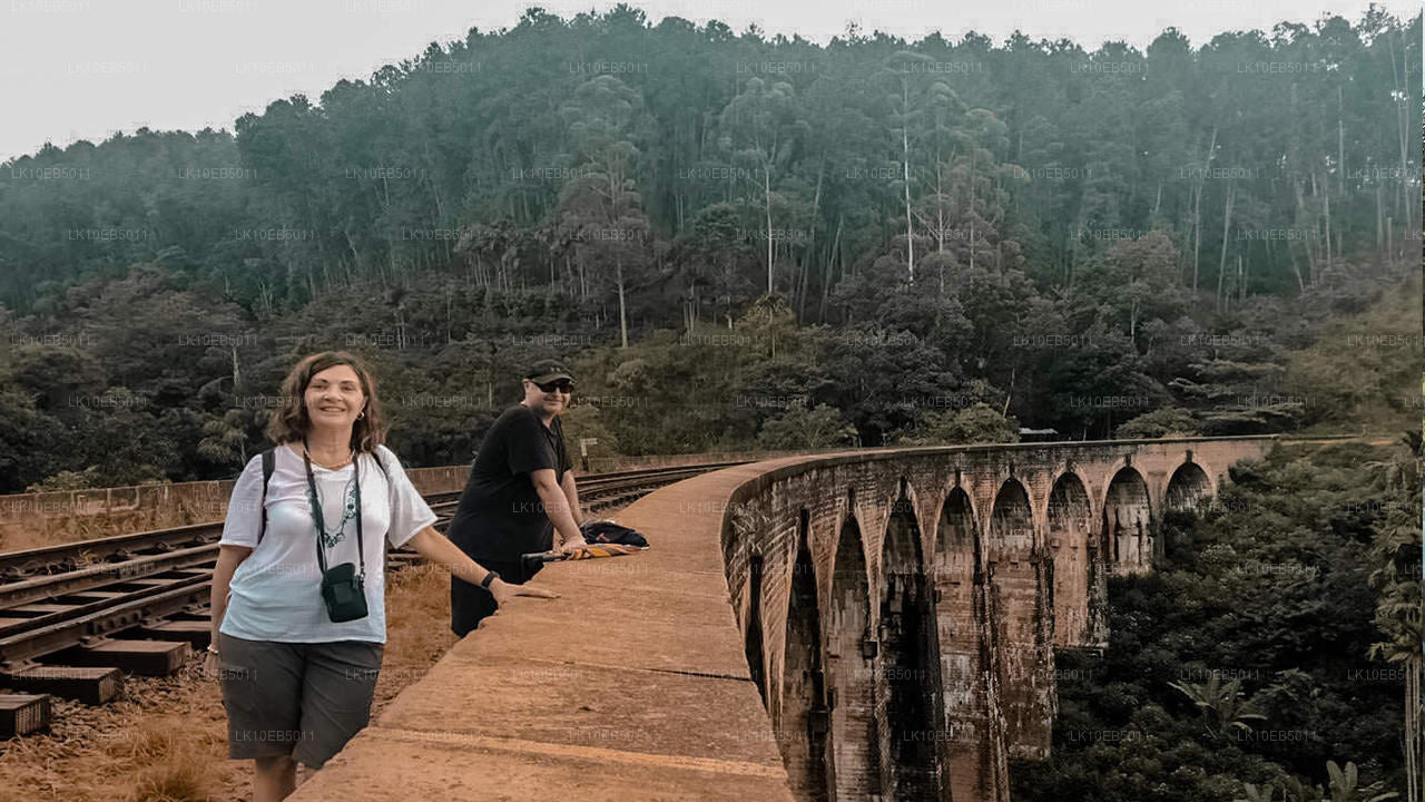 Sensacja świata (14 dni)