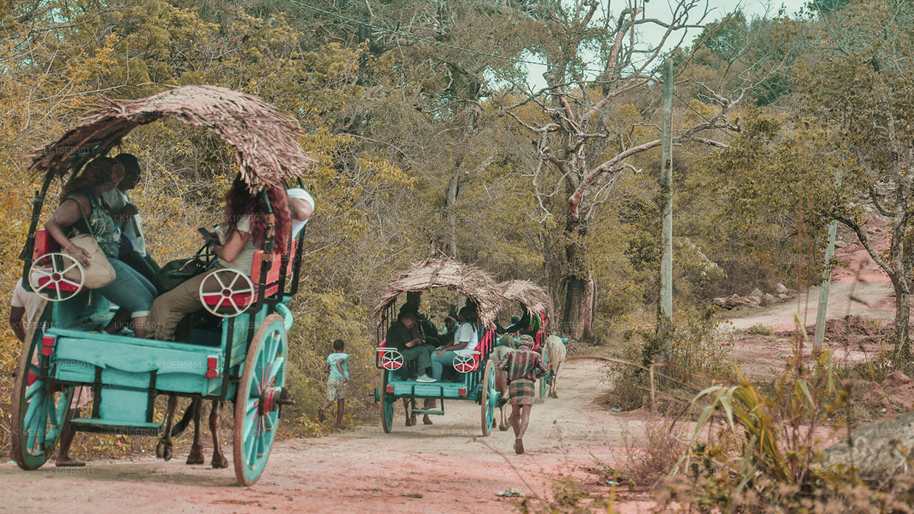 Sensacja świata (14 dni)