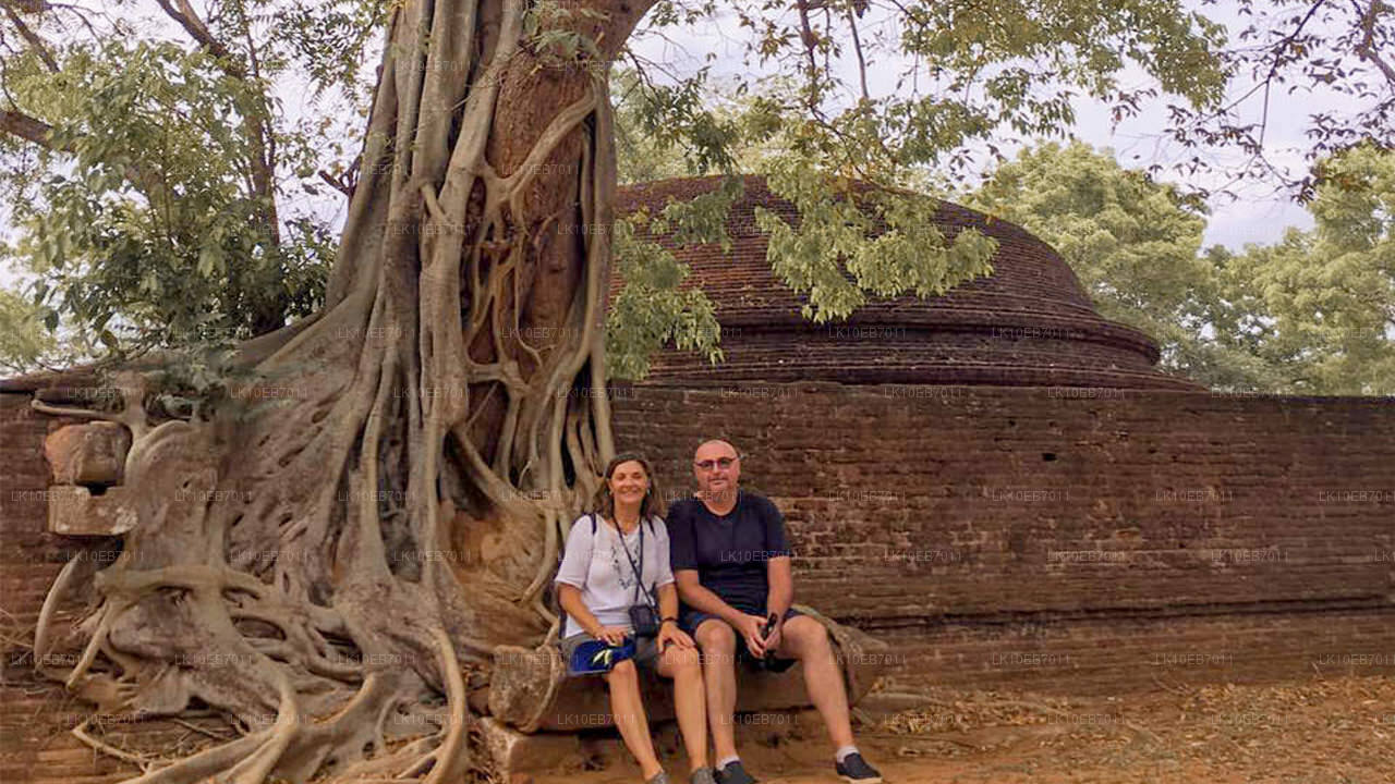 Starożytne królestwa i Najlepsze ze Wschodu (14 dni)