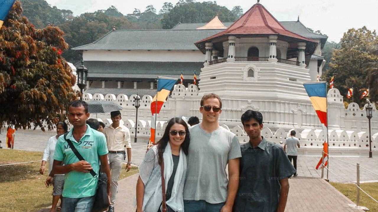 Starożytne królestwa i Najlepsze ze Wschodu (14 dni)