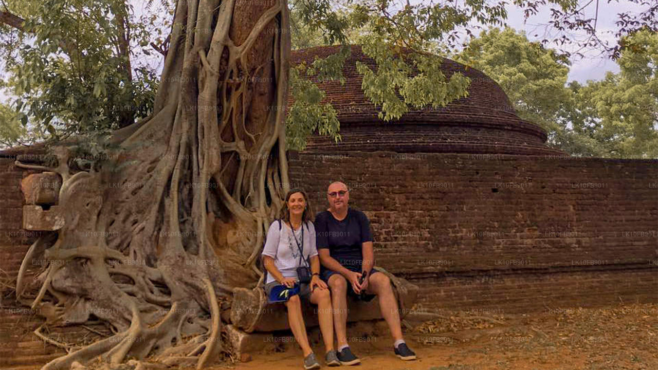 Relaks i relaks (15 dni)