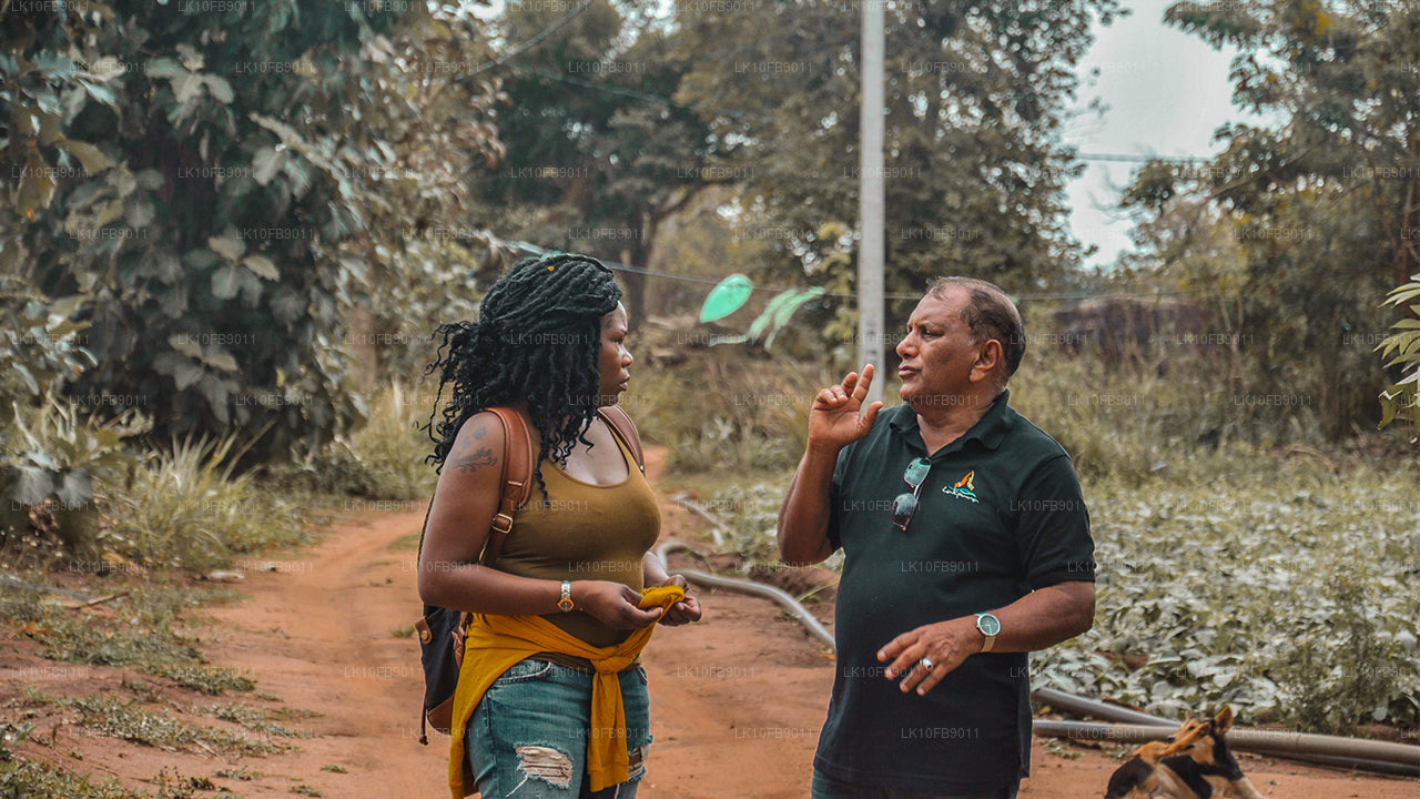 Relaks i relaks (15 dni)