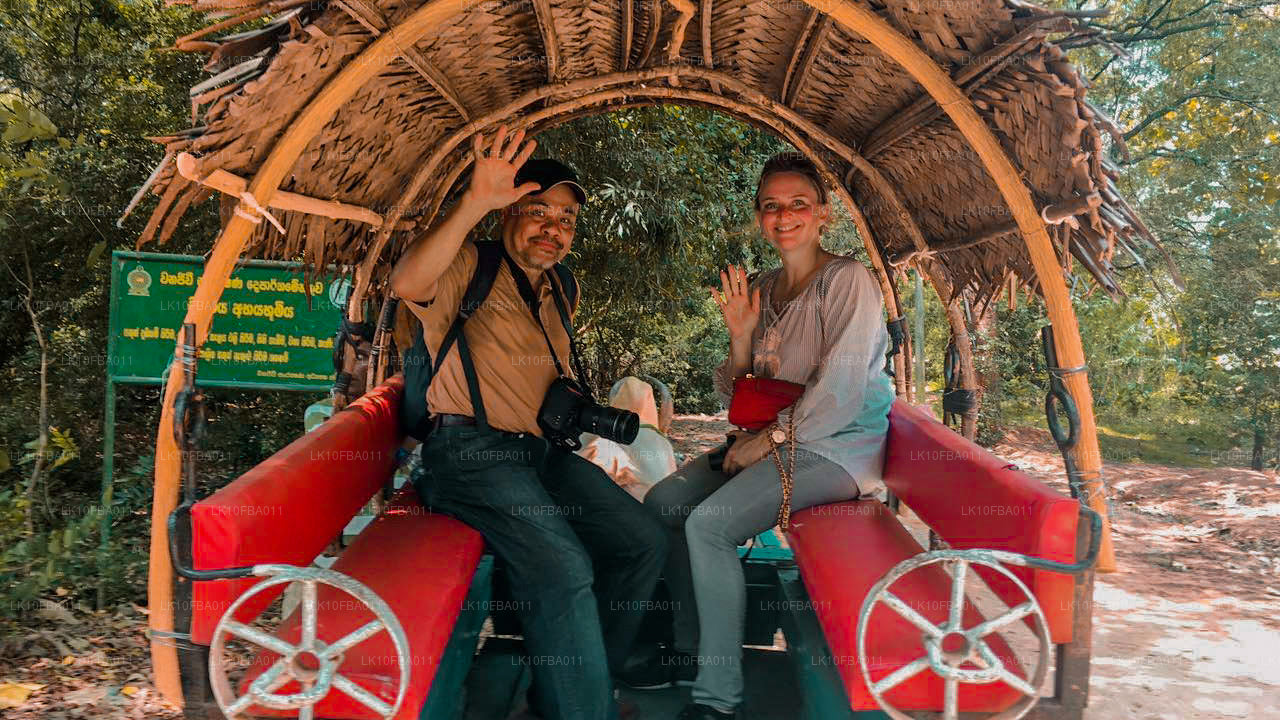 Szlak Serendipity (15 dni)