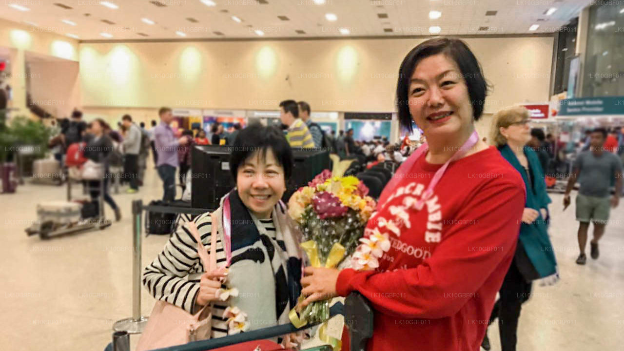 Odkrywanie Serendib (16 dni)