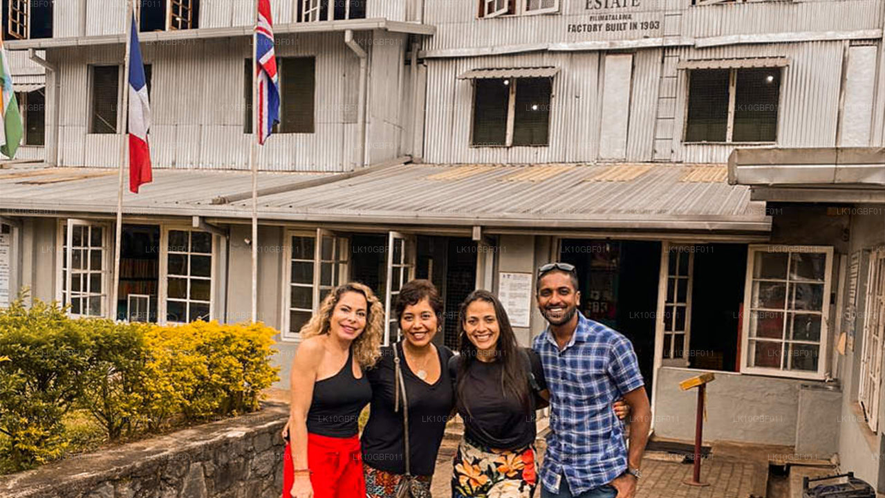 Odkrywanie Serendib (16 dni)