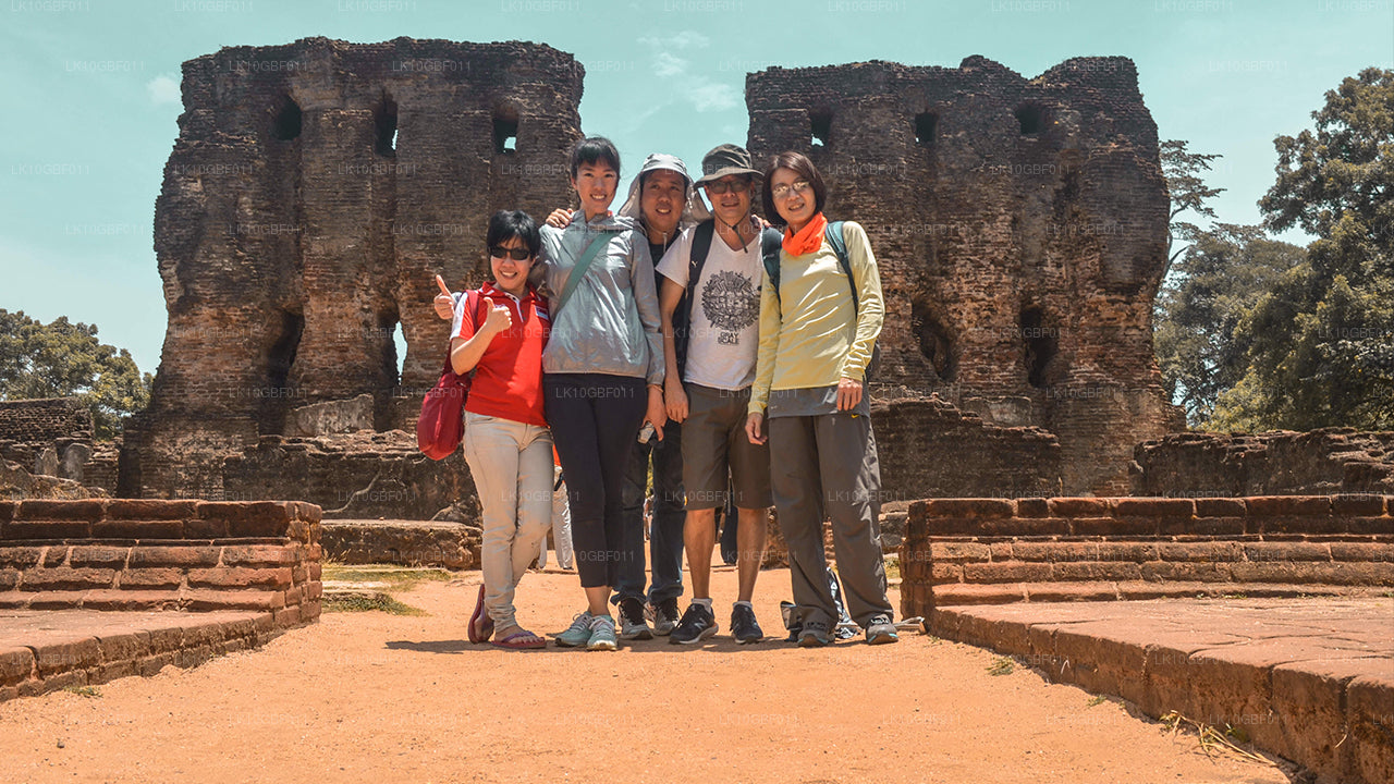 Odkrywanie Serendib (16 dni)