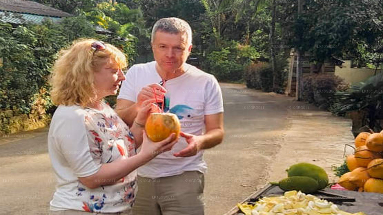 Klejnoty Sri Lanki (16 dni)