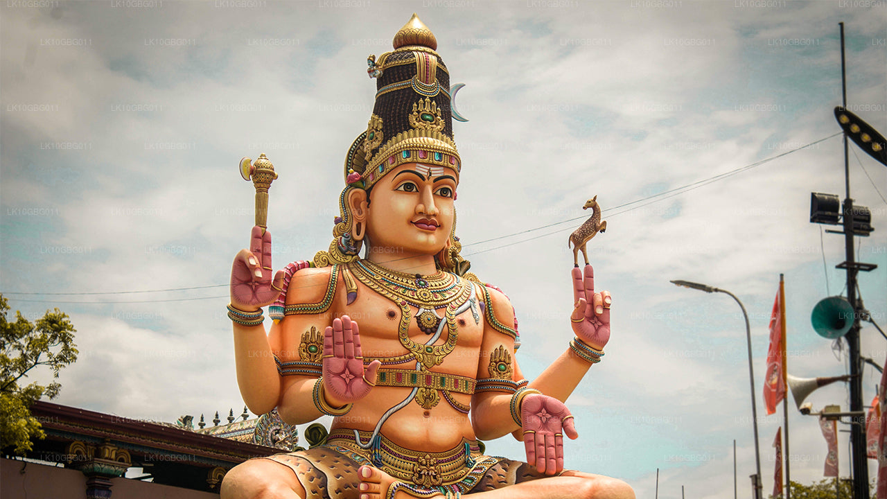 Klejnoty Sri Lanki (16 dni)