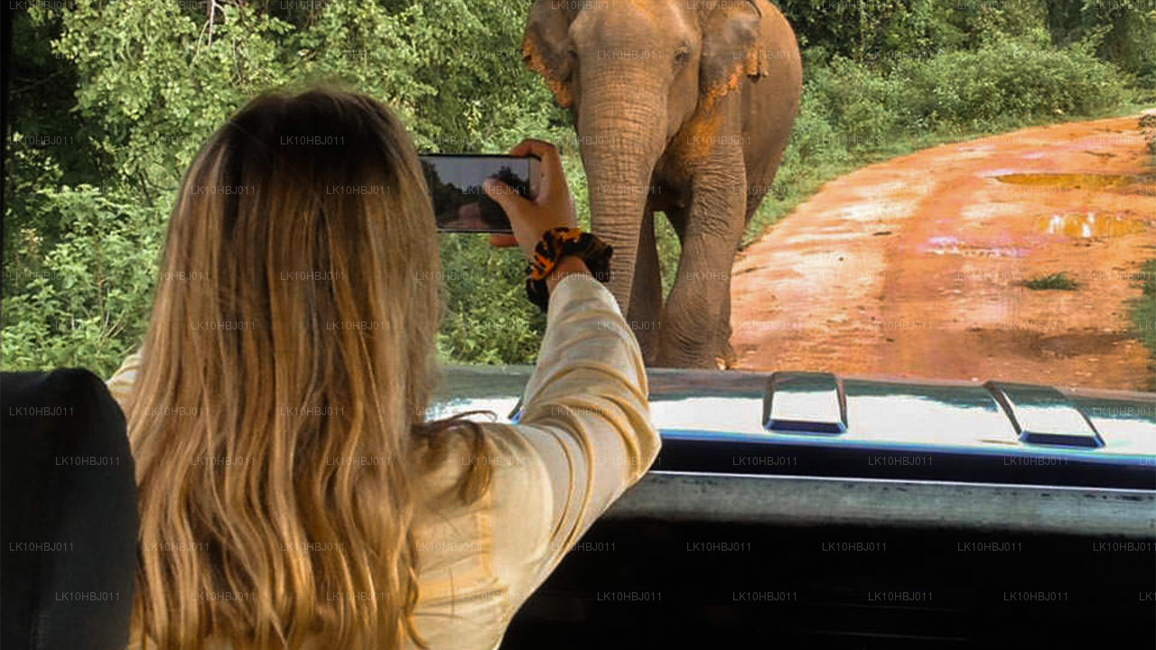 Ostateczna Sri Lanka (17 dni)