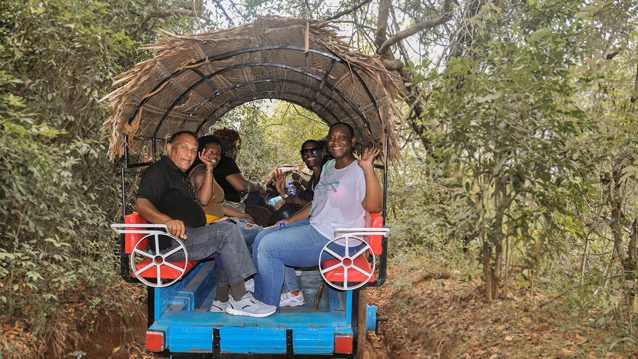 Czarująca Sri Lanka (18 dni)