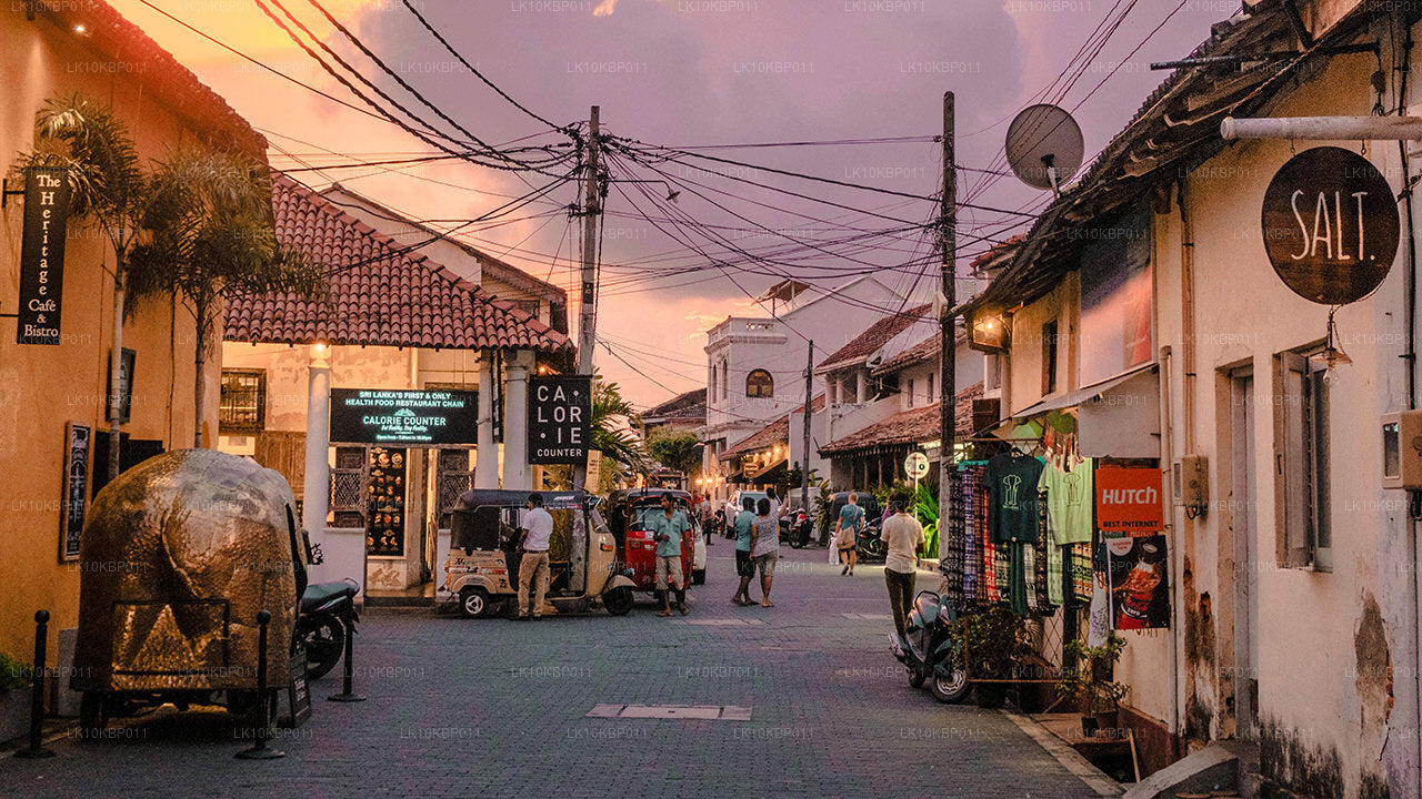 Nurkuj na podniecenie (20 dni)