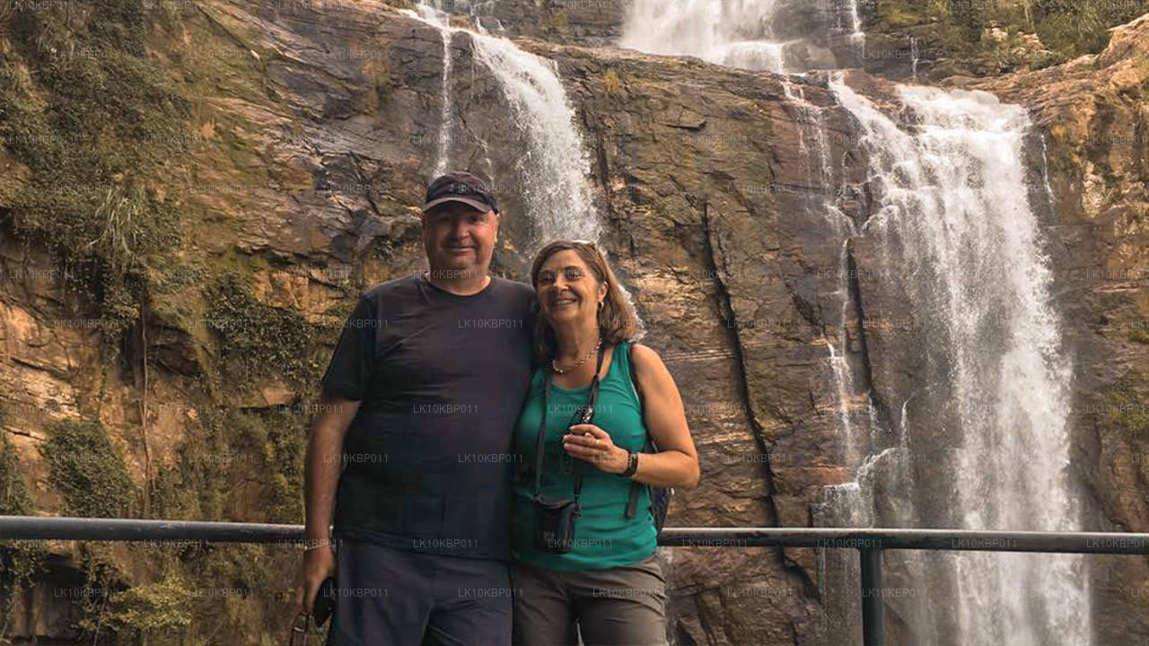 Nurkuj na podniecenie (20 dni)