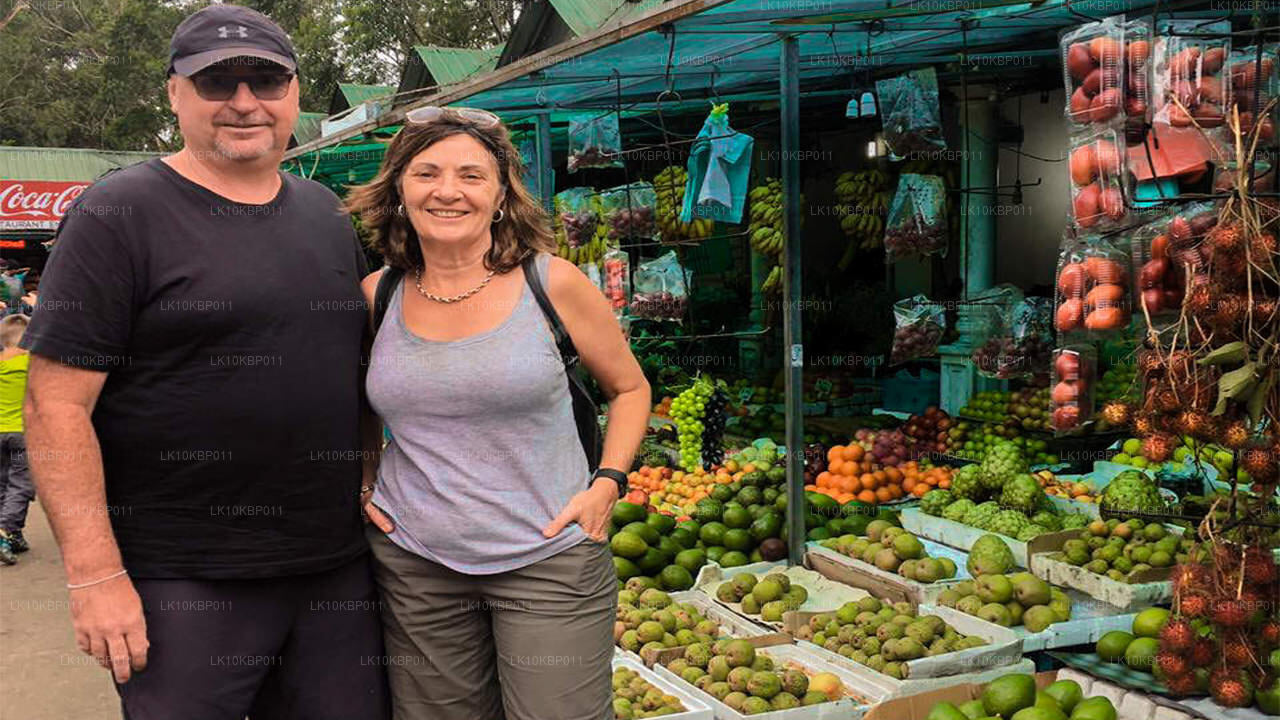 Nurkuj na podniecenie (20 dni)