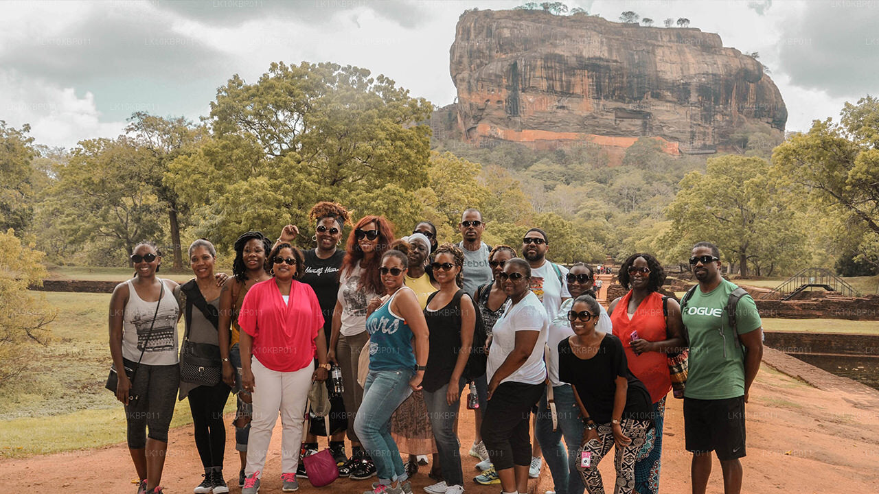 Nurkuj na podniecenie (20 dni)