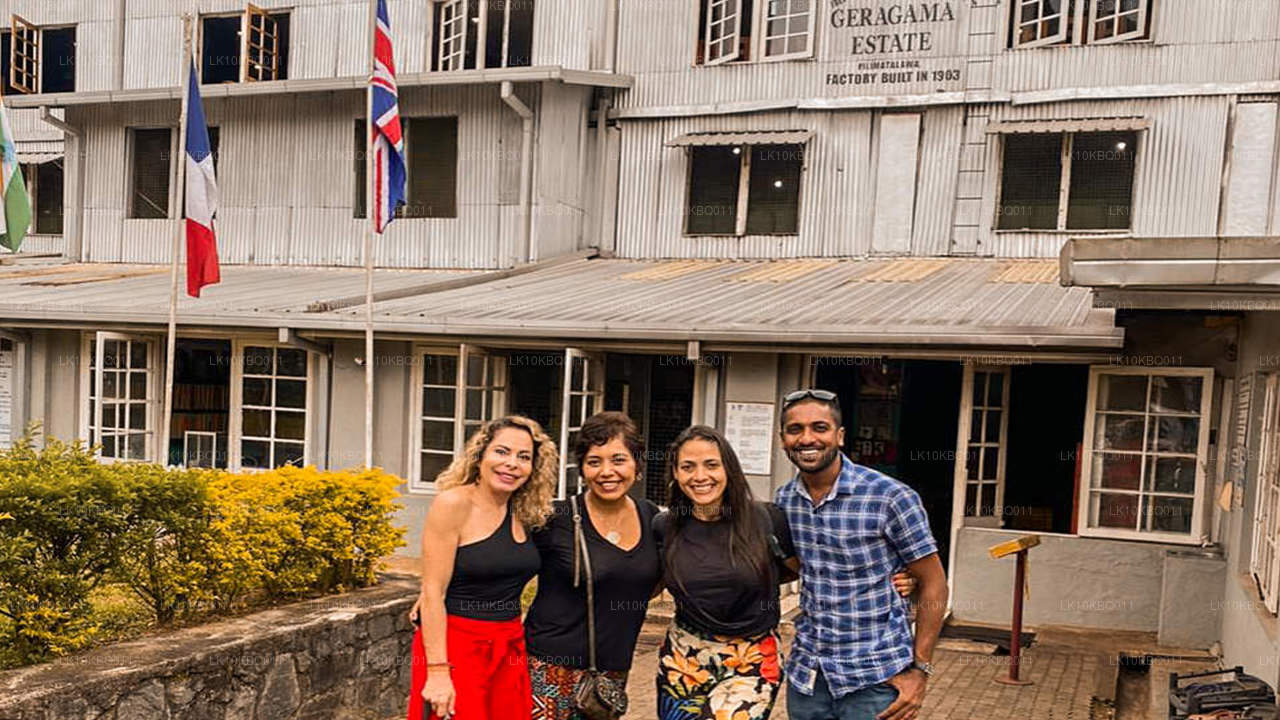 Klasyczna Sri Lanka (20 dni)