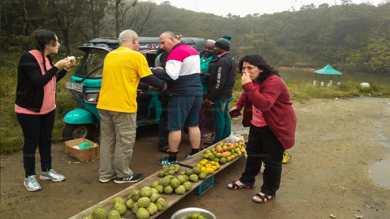 Klasyczna Sri Lanka (20 dni)