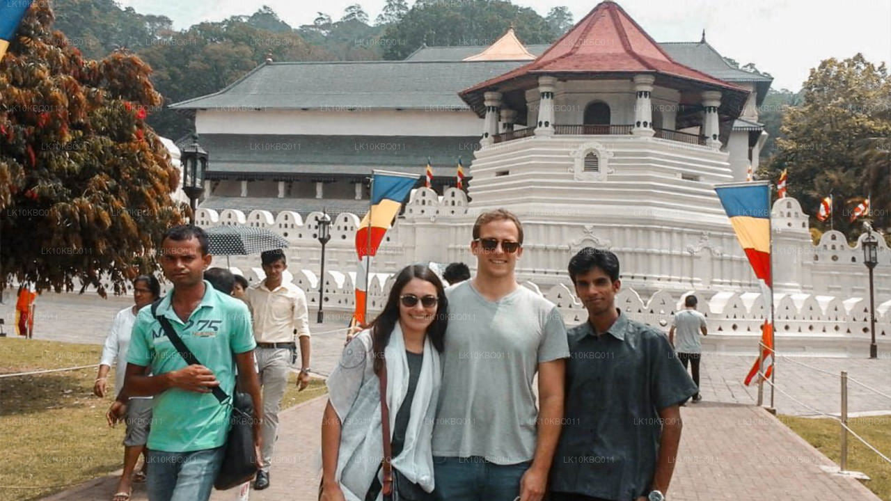 Klasyczna Sri Lanka (20 dni)