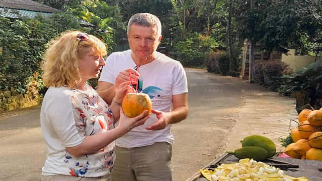 Klasyczna Sri Lanka (20 dni)