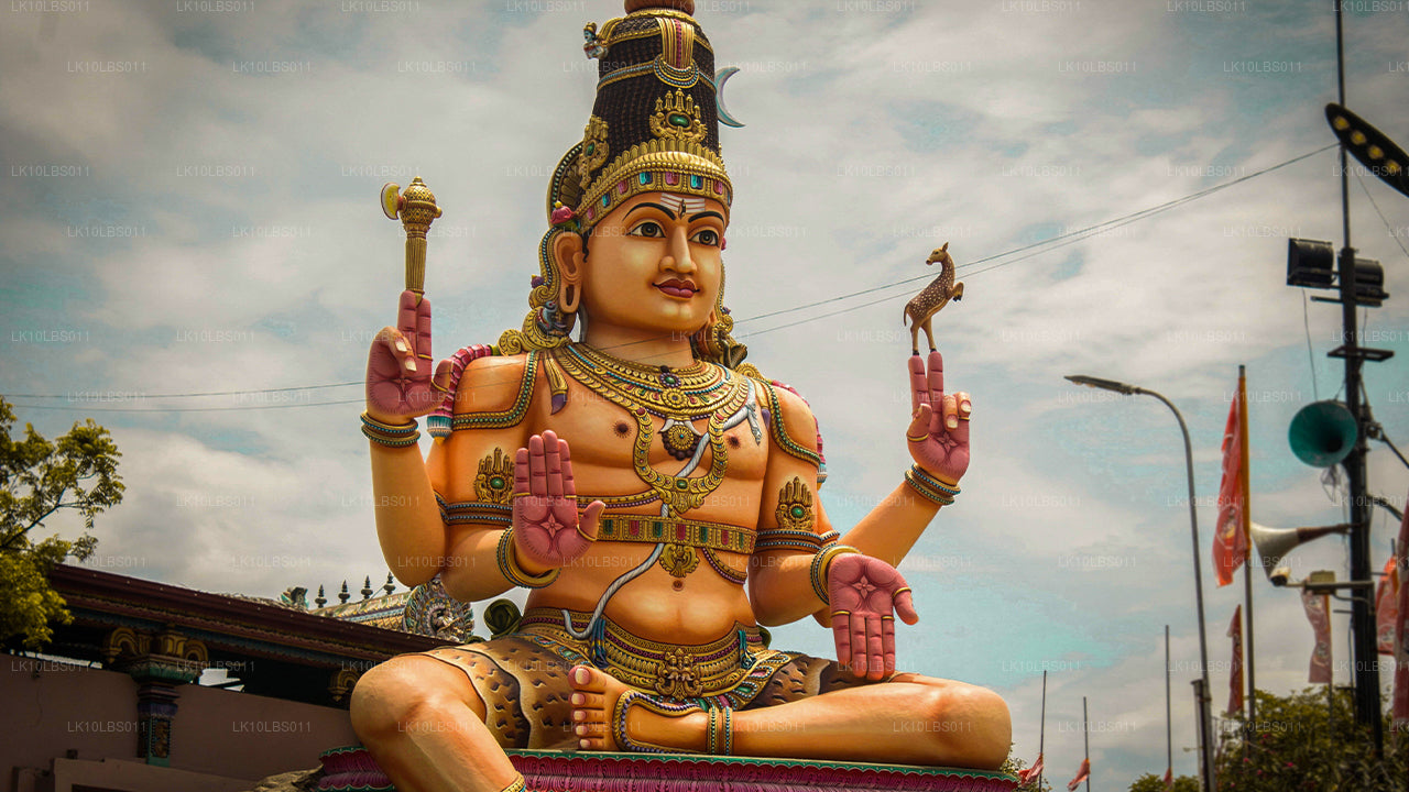 East Explorer (21 dni)