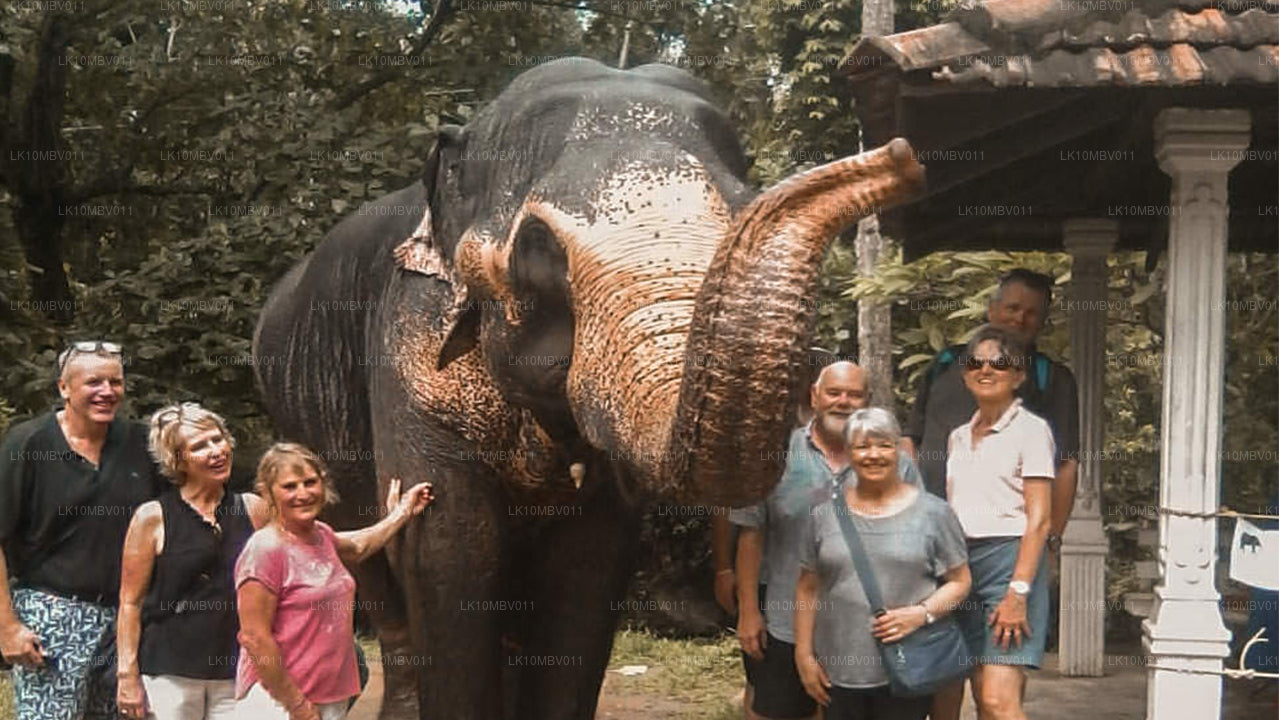 Świątynie i przyroda (22 dni)