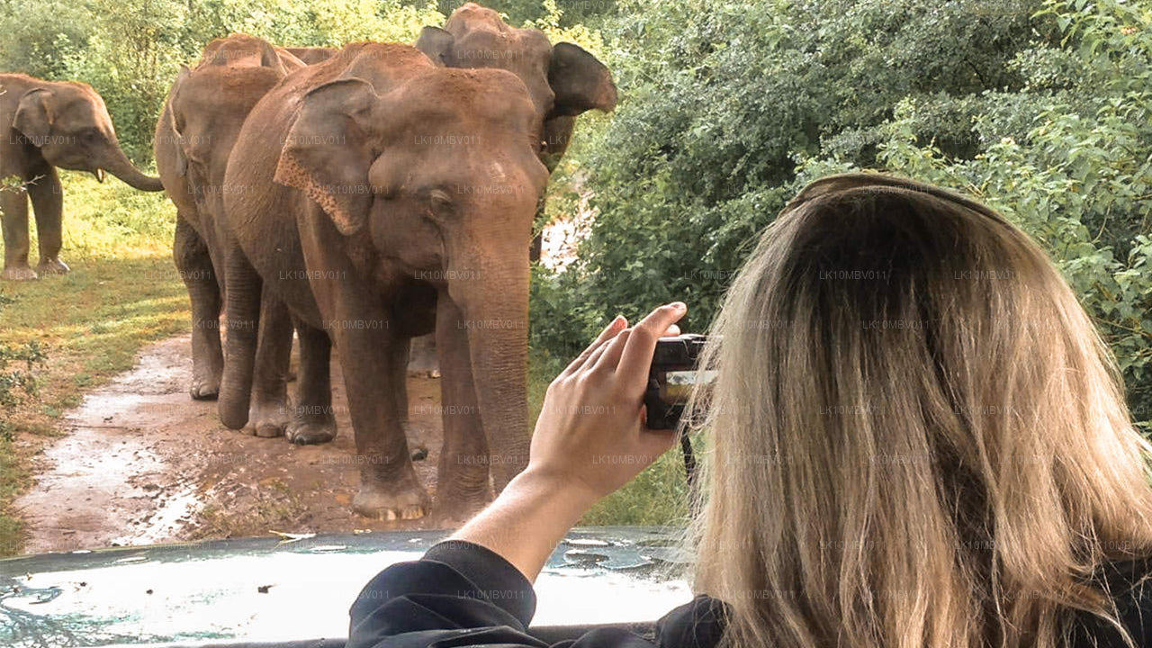 Świątynie i przyroda (22 dni)