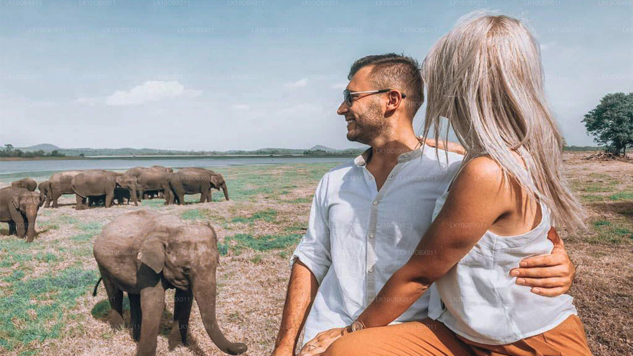 Niesamowita Sri Lanka (24 dni)