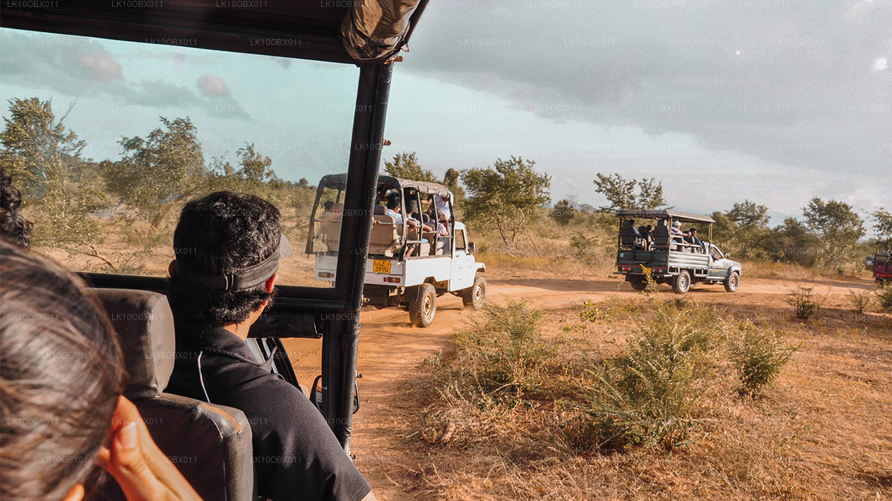 Niesamowita Sri Lanka (24 dni)