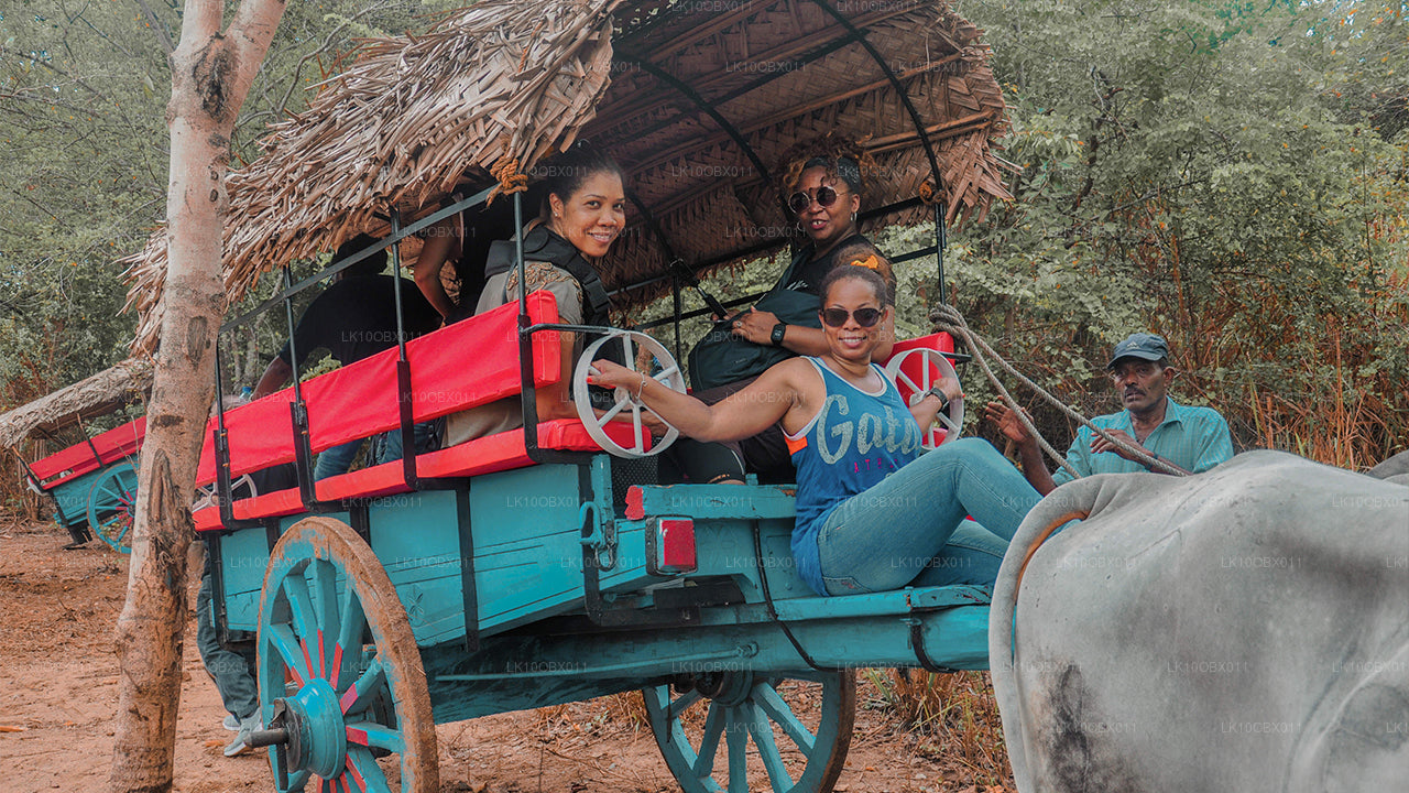 Niesamowita Sri Lanka (24 dni)