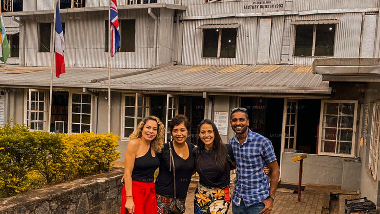 Ceylon Endearment (25 dni)