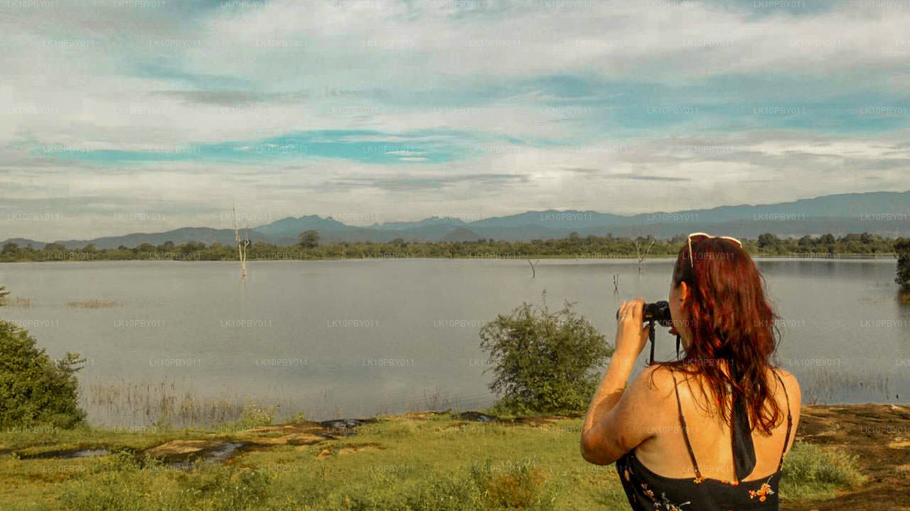 Ceylon Endearment (25 dni)