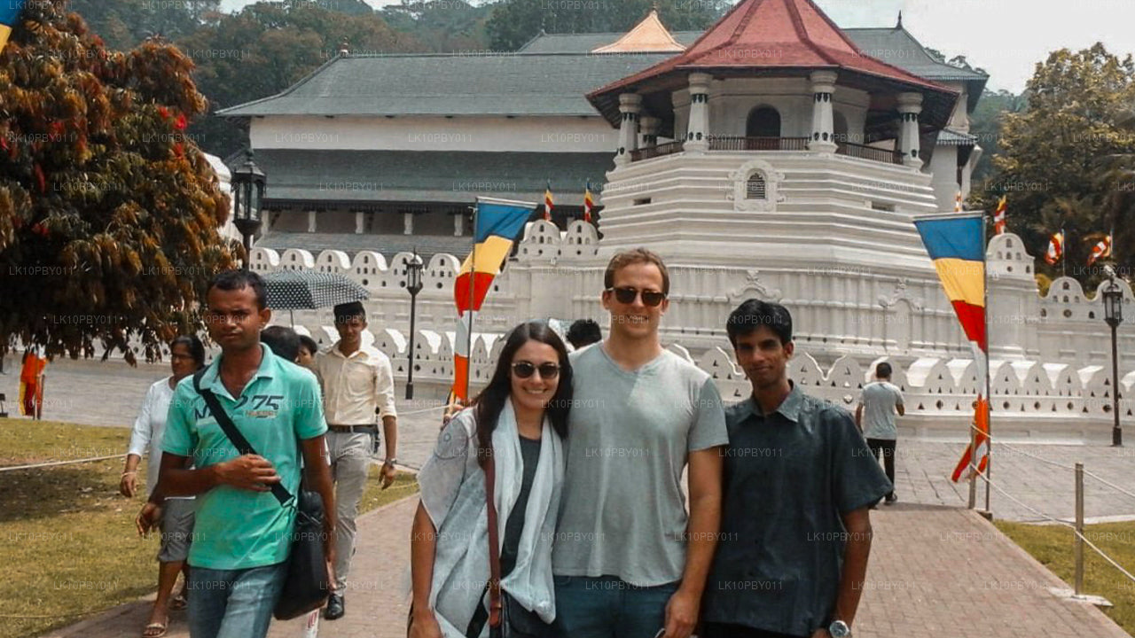 Ceylon Endearment (25 dni)