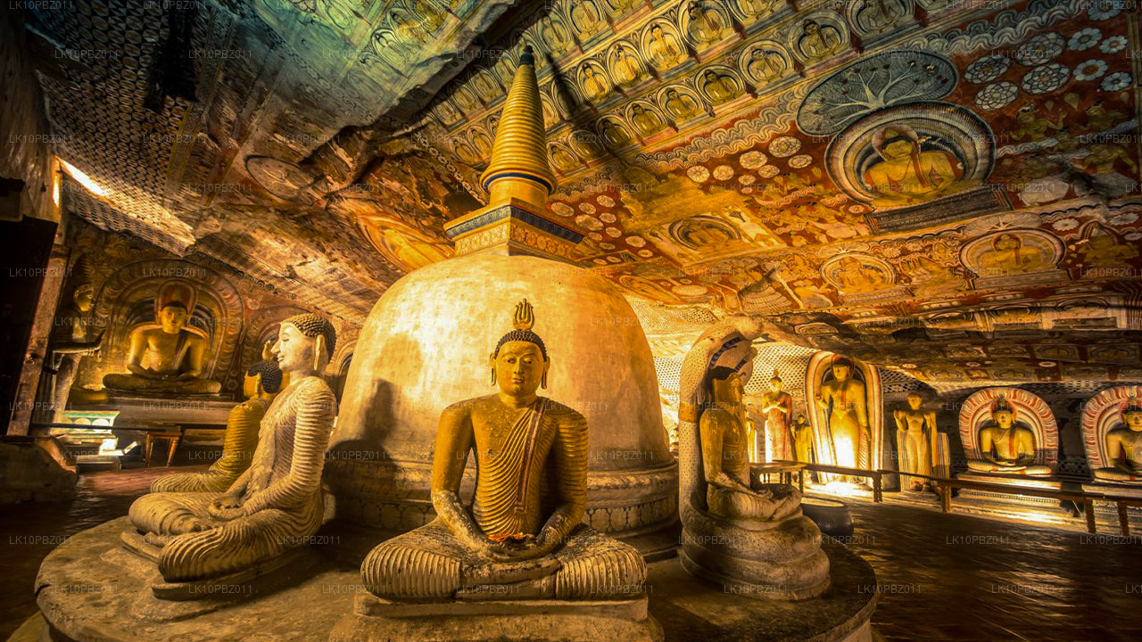 Niesamowita Sri Lanka (25 dni)