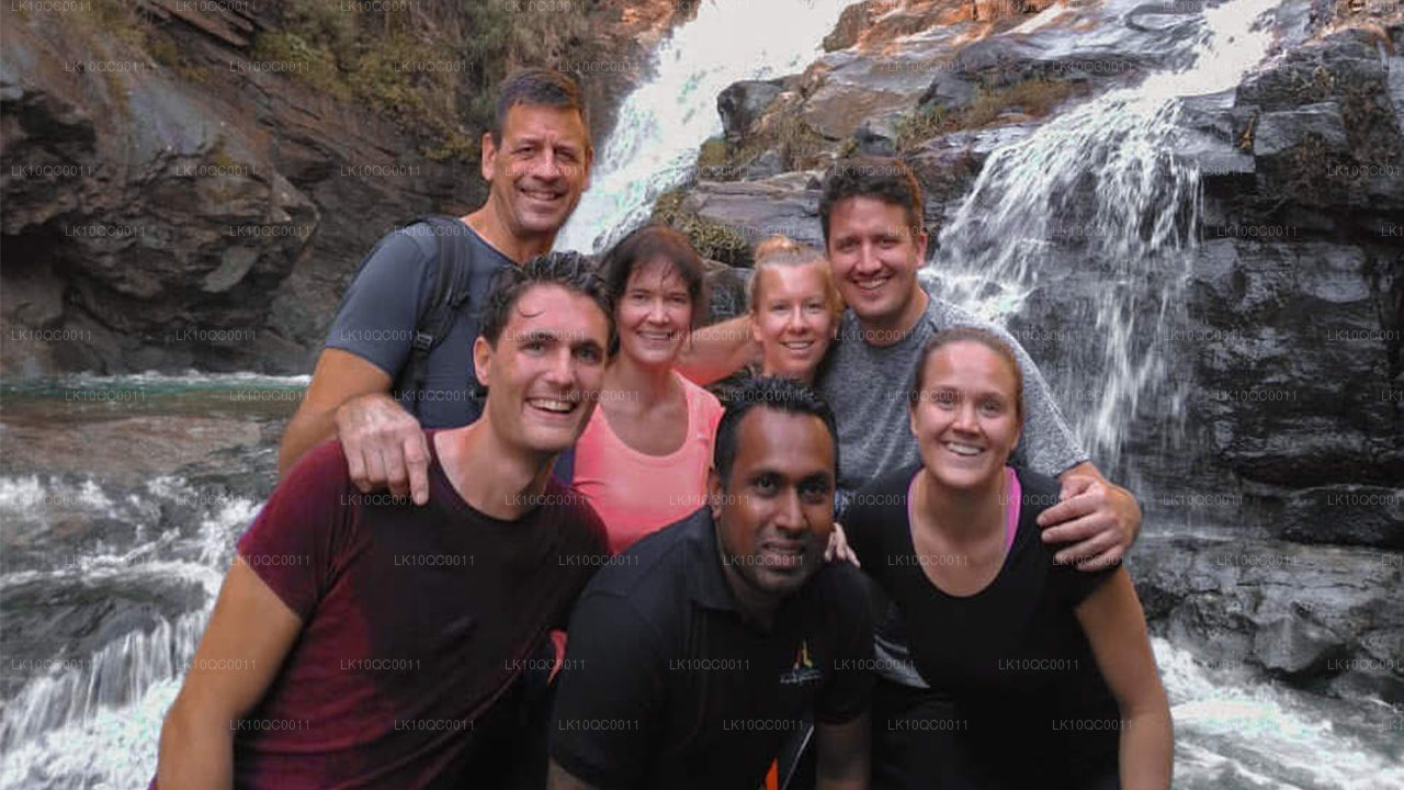 Ceylon Endearment (26 dni)