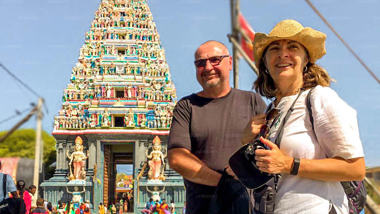 Ceylon Endearment (26 dni)