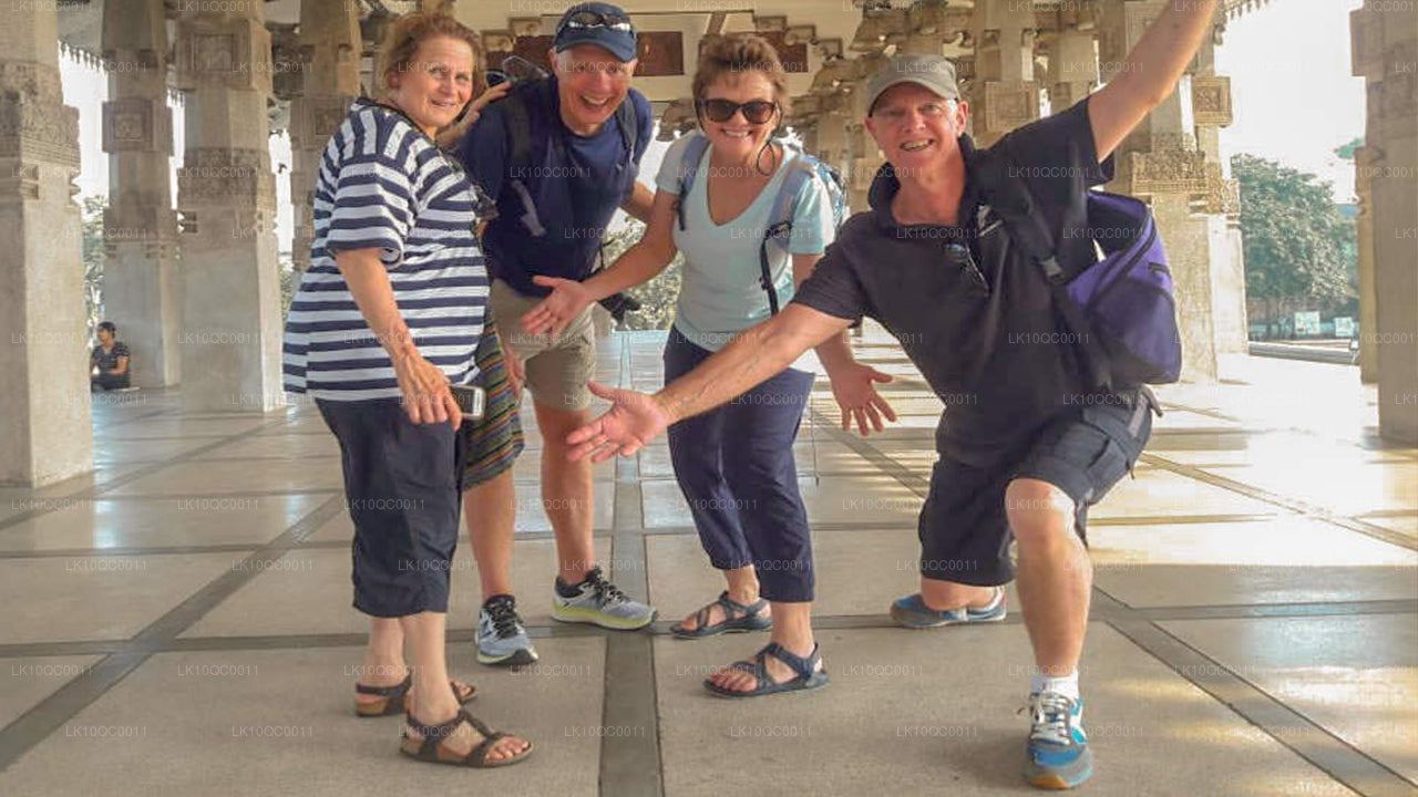 Ceylon Endearment (26 dni)